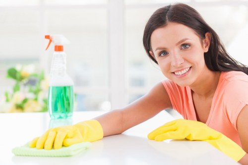 Professional cleaners in Barnet working in a modern home