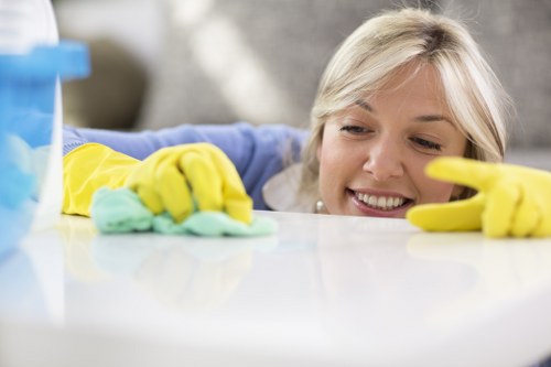 Deep carpet cleaning in Barnet removing embedded dirt